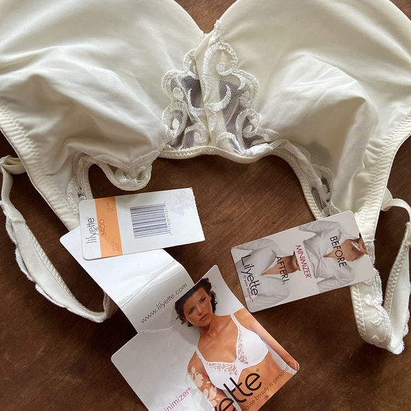 Lilyette Minimizer Underwire embroidered Bra 34 DD - Picture 4 of 6